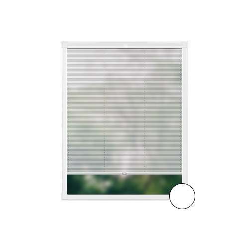 transparent